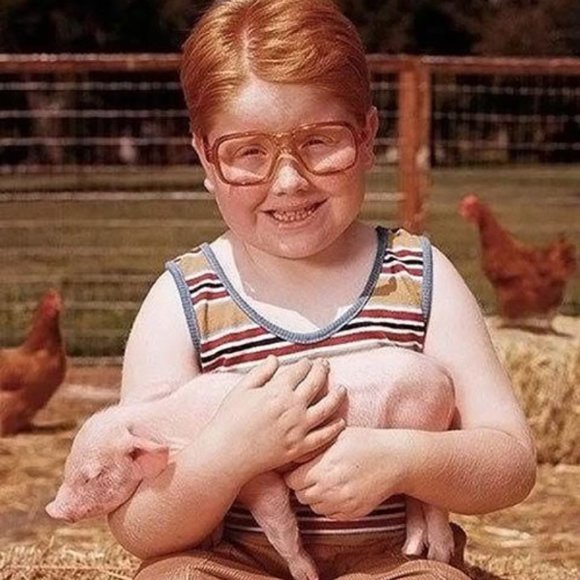 Meet your Posher, Chaston - Picture 3 of 16